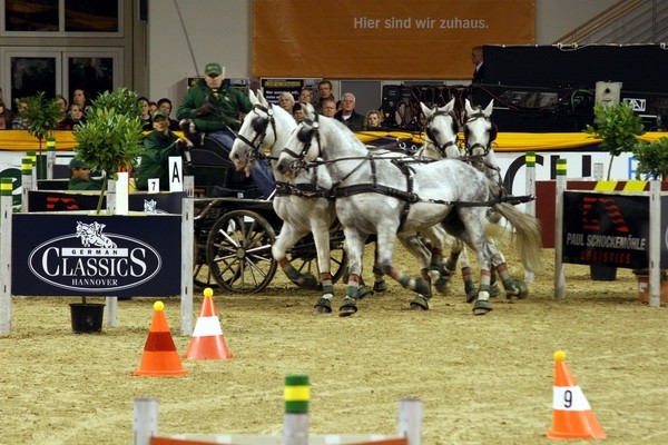 GC Vierspaenner 028.jpg